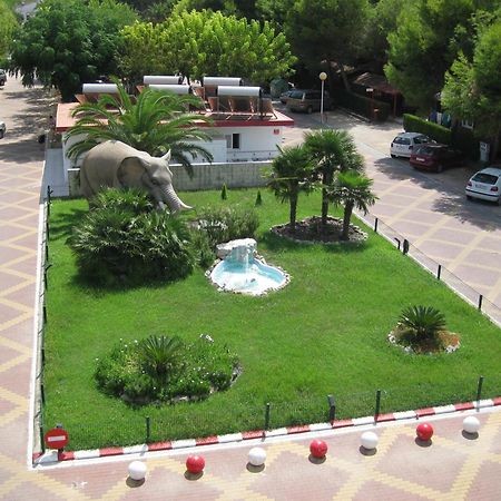 Camping L'Alqueria Gandia Exterior photo