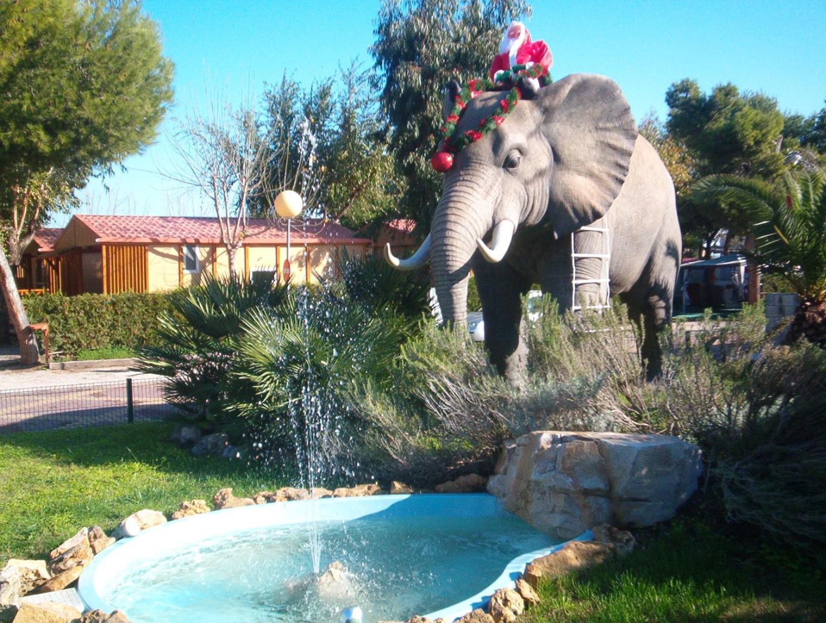 Camping L'Alqueria Gandia Exterior photo